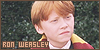  Harry Potter: Ron Weasley: 