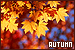  Season: Autumn/Fall: 