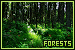  Forests: 