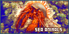  Sea Animals: 